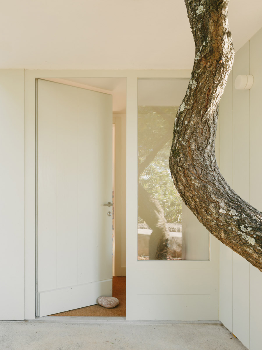 House Renovation - Aldeia da Piedade